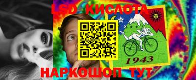 шишки Усть-Илимск