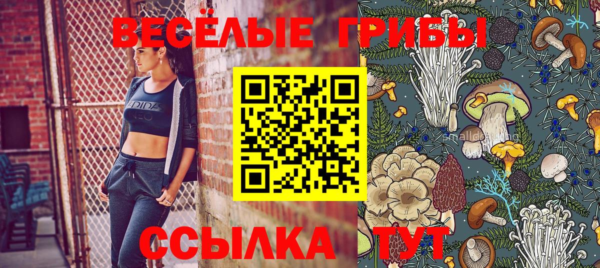 Кокаин Можайск