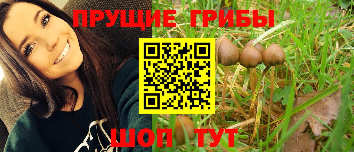 Псилоцибиновые грибы мухоморы  Вход с VPN  Галлюциногенные грибы Psilocybine cubensis  Можайск 